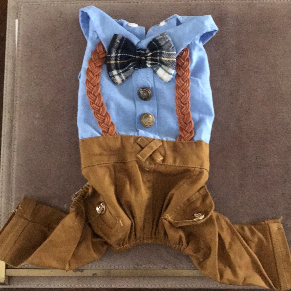 Alpine Dog outfit